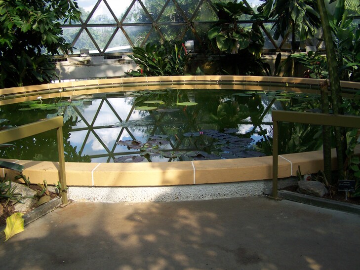 pumping filtration and aeration for the mt cootha botanic gardens dome