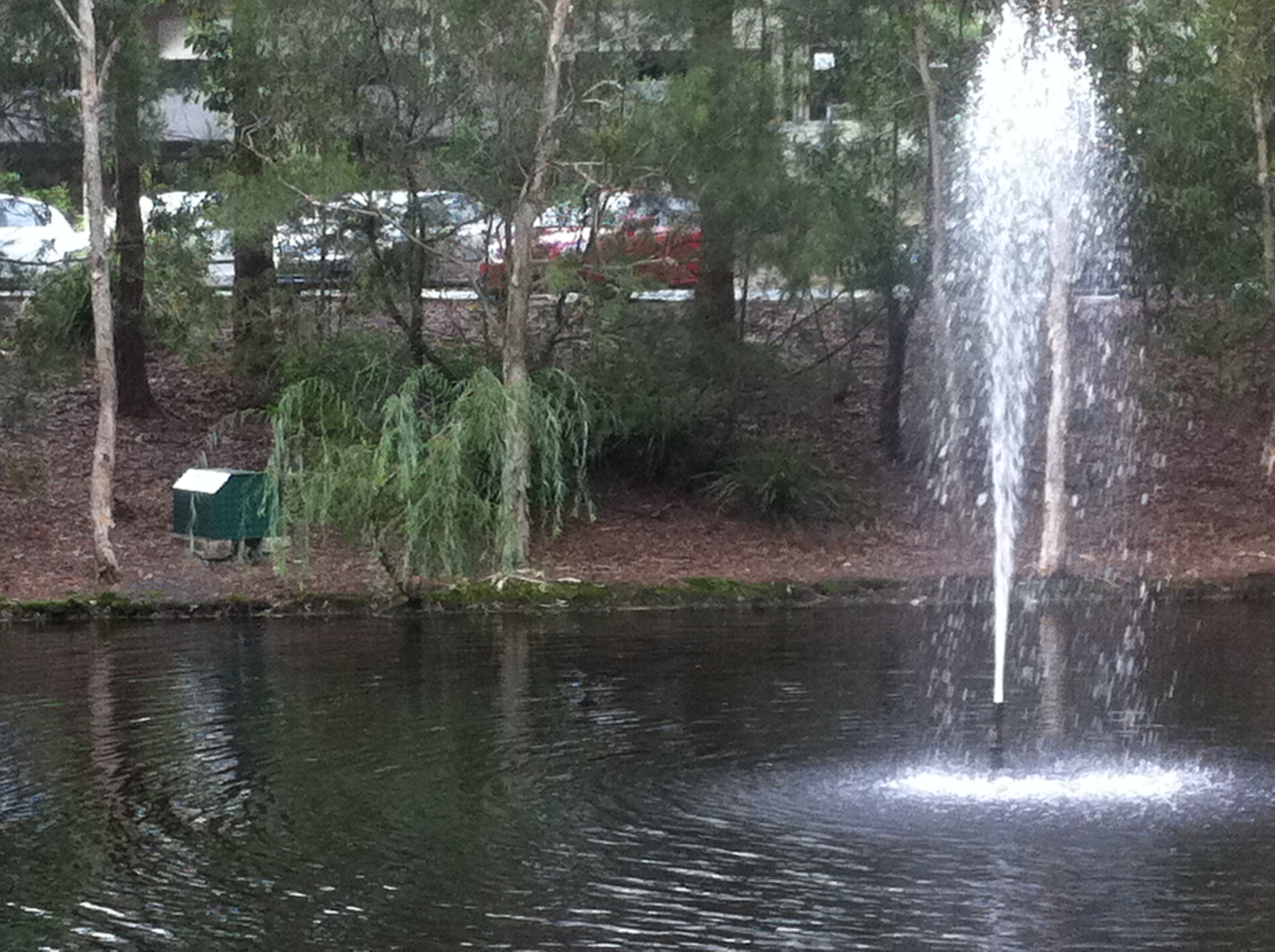 Chandler water feature Brisbane City Council